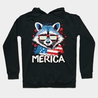 4Th Of July Merica Raccoon Agender Sun Flag Hoodie